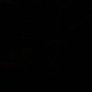 Meet your Posher, Colton